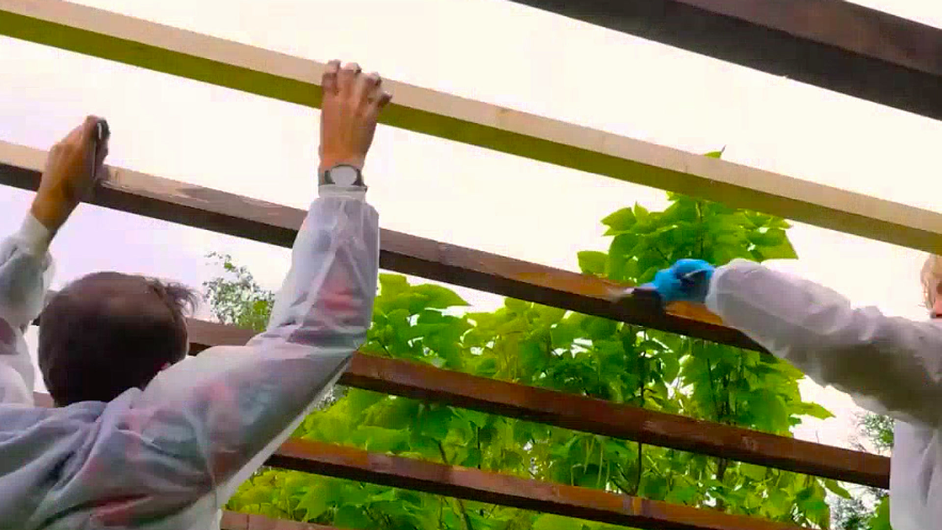 3 DIY pergola designs to create a comfortable backyard retreat