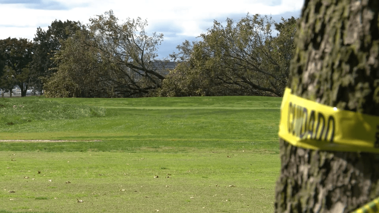 'I am not the Lorax': Federal judge extends block on East Potomac golf ...