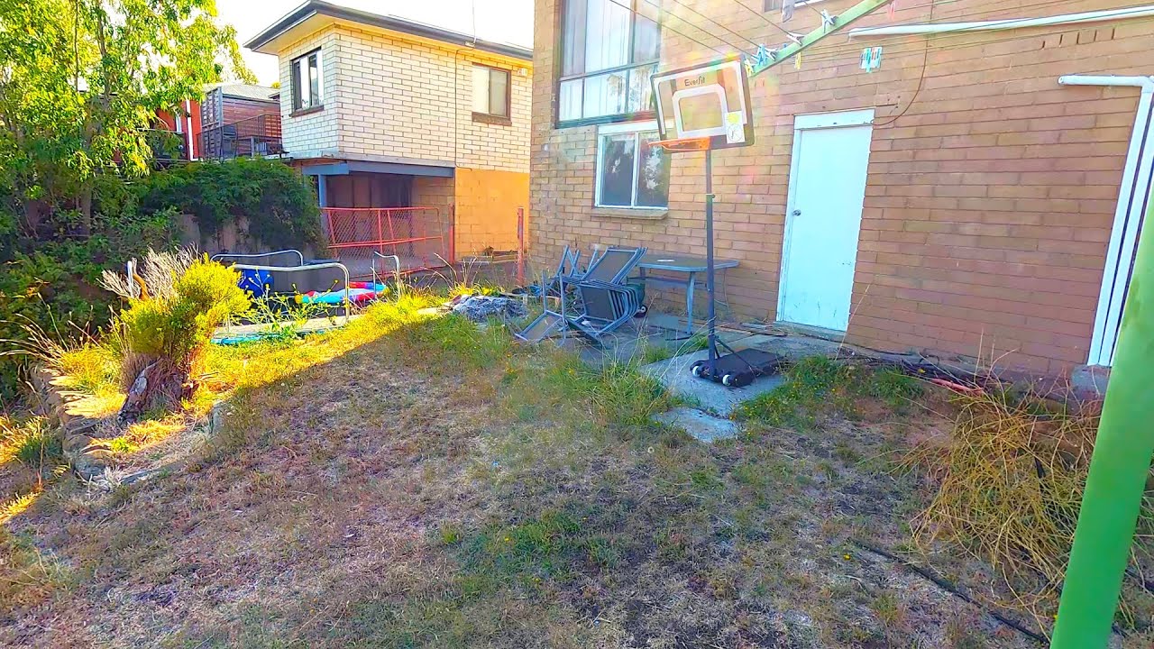 Backyard restoration: watch the magic happen!