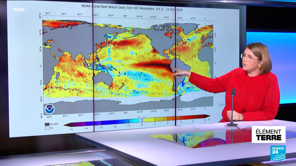 Submersion des côtes californiennes : la conséquence d'un El Niño ...