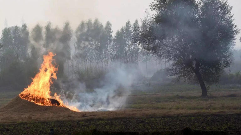 Centre asks states to go into mission mode to curb stubble burning