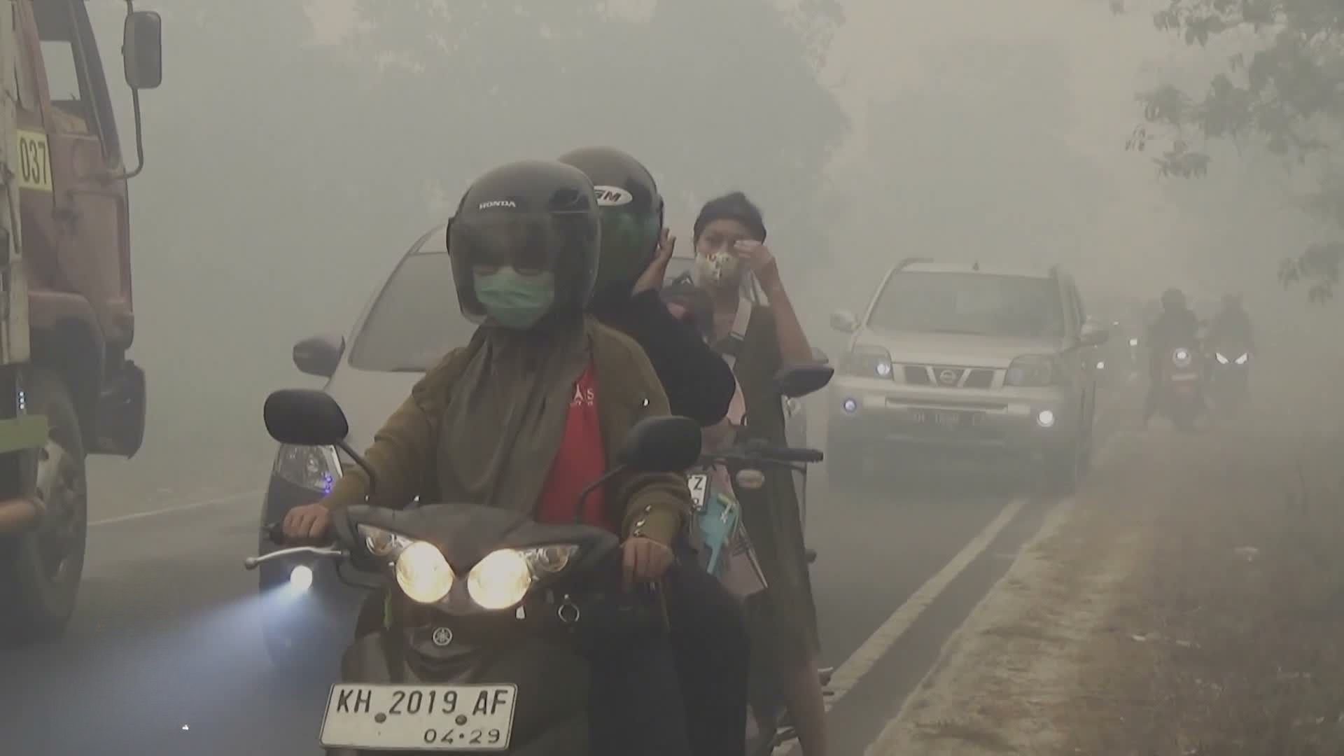 Indonesia forest fires blanket Southeast Asia in toxic haze