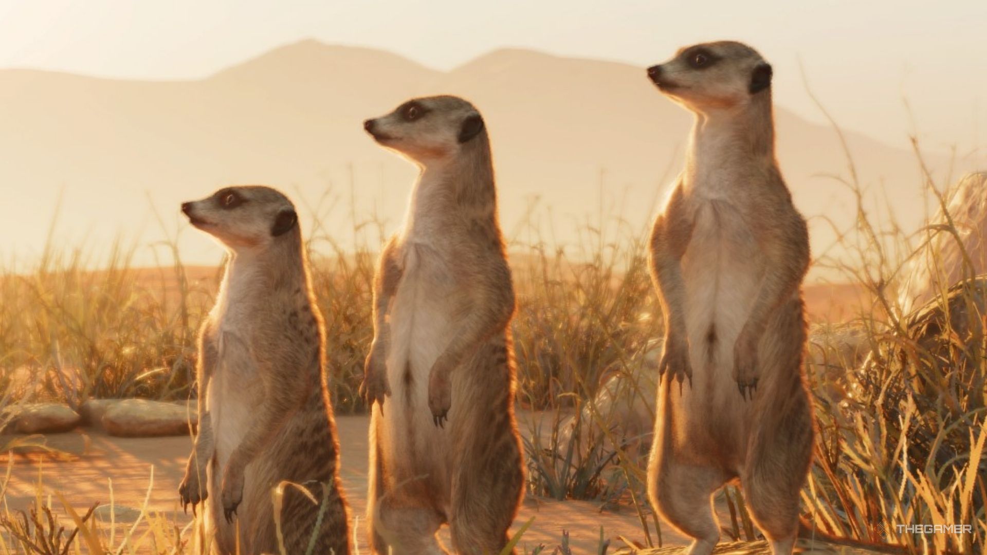 Planet Zoo 2: Complete animal list