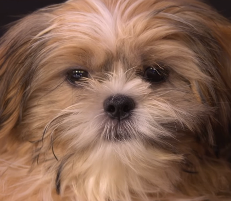 Kelly Ripa and Mark Consuelos announce new baby they believe was sent ...