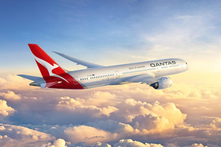 Cancelan vuelo de 17 horas tras agotarse suministros durante invasión ...