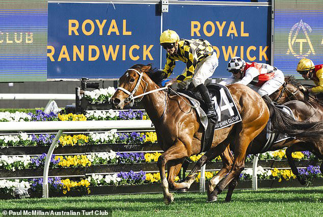 Where the money goes in the Everest - the world's richest turf race