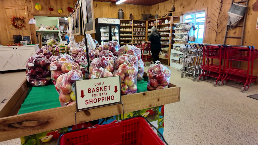 Walk with me: Apple picking season continues in Wayne County following annual tasting tour