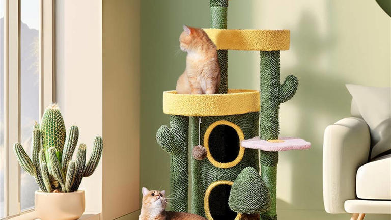Wayfair's oasis-inspired cat tree is on sale, and it has several hidden ...