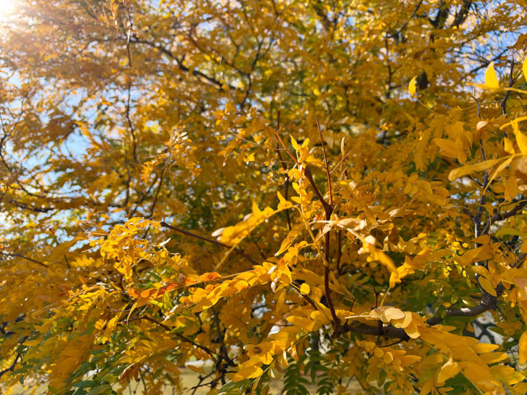 October heat breaks 57-year-old records in Cleveland and Akron-Canton