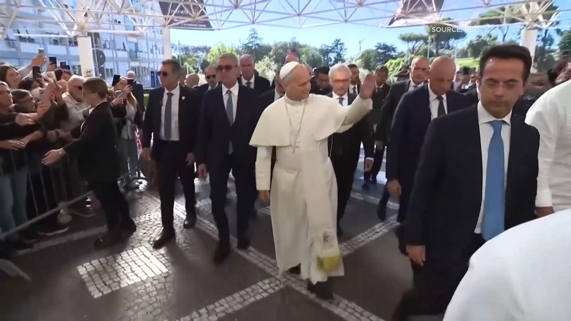 Pope Leo diagnosed with lung cancer, Buffalo Diocese reacts