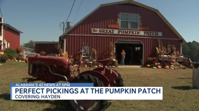 Pumpkin patch brings fall fun to Blount County despite warmer weather