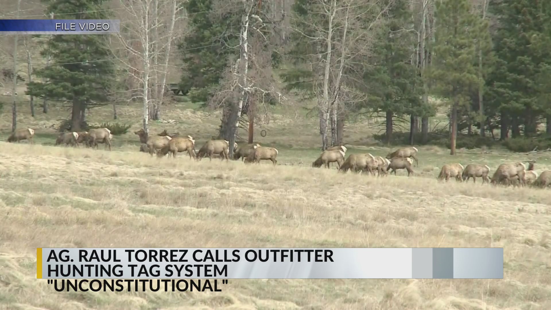 New Mexico attorney general claims outfitter hunting tags system is ...