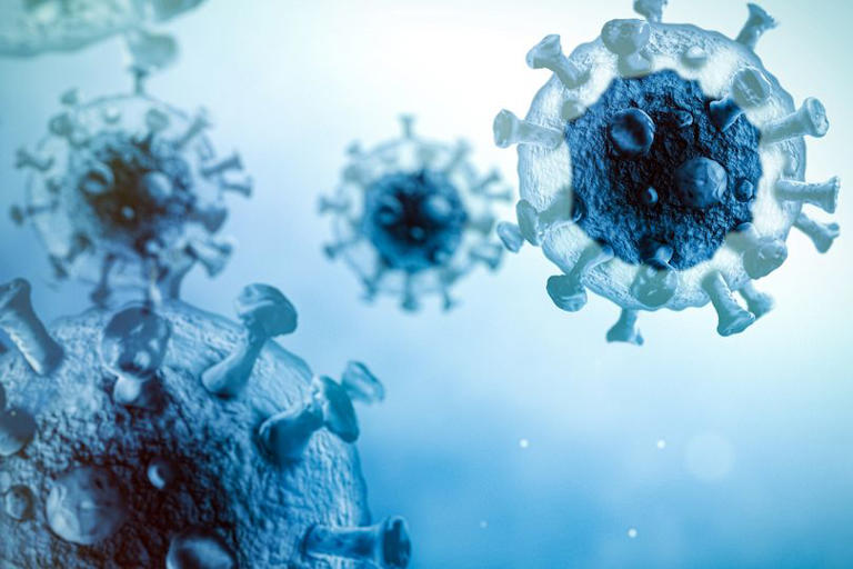 Fears over Russia bioweapons cover-up grow as plague threat spreads to ...