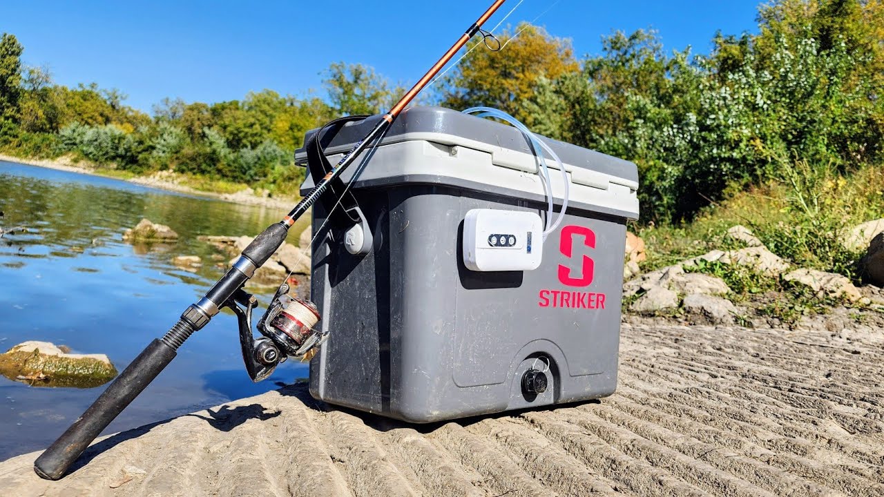 Fall catfish bait hack 🐟