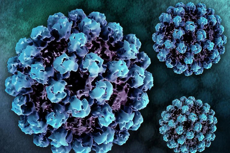 American Covid hospitalises thousands as pandemic era rule returns to ...