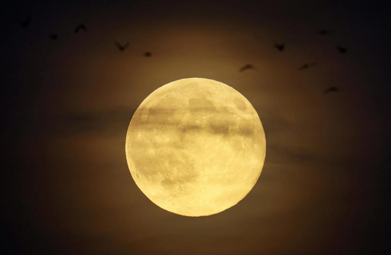 October full moon 2026: When to see the Hunter's Moon in New York