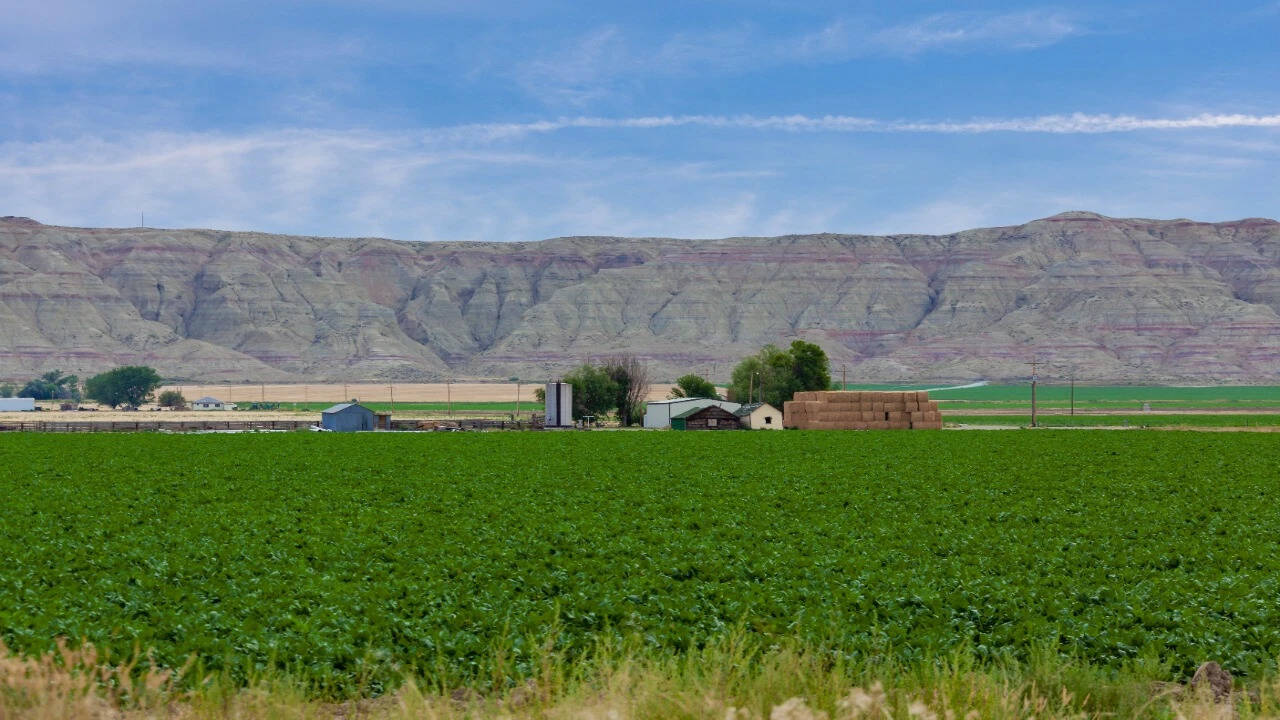 Solar hybrid cuts diesel use: Nevada farm slashes fuel 60%; savings may ...