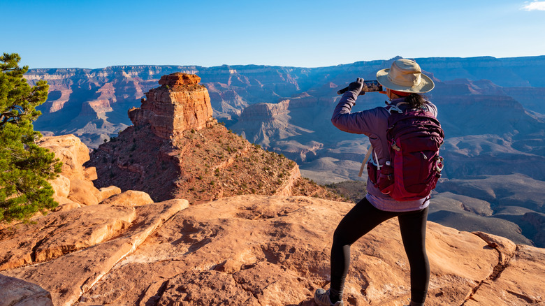 Forget Death Valley, this national park's scenic drive boasts towering ...