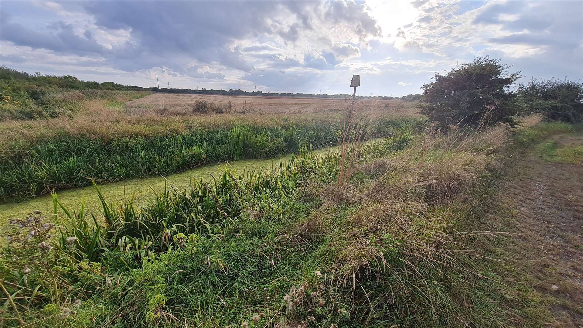 Body found at Minster Marshes near Ramsgate during search for missing ...