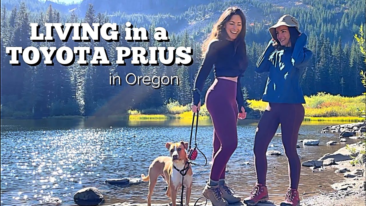 I lived in a Prius — wild week 🚗