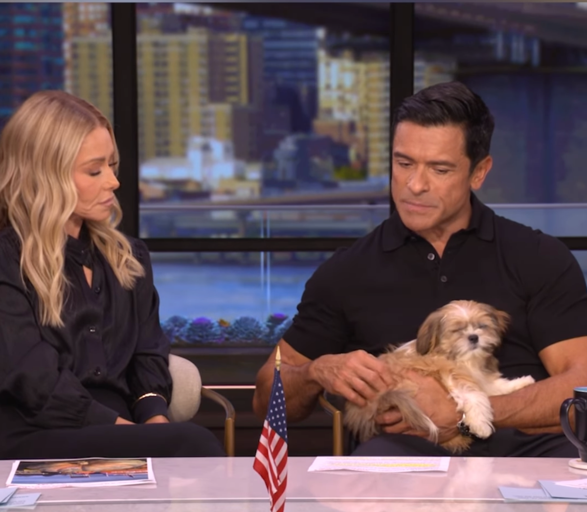 Kelly Ripa and Mark Consuelos announce new baby they believe was sent ...