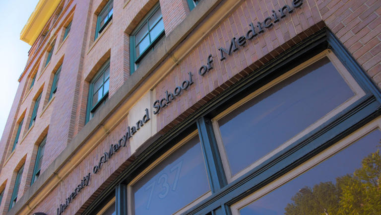 UMD medical school study trains clinicians on keto diet for mental illness