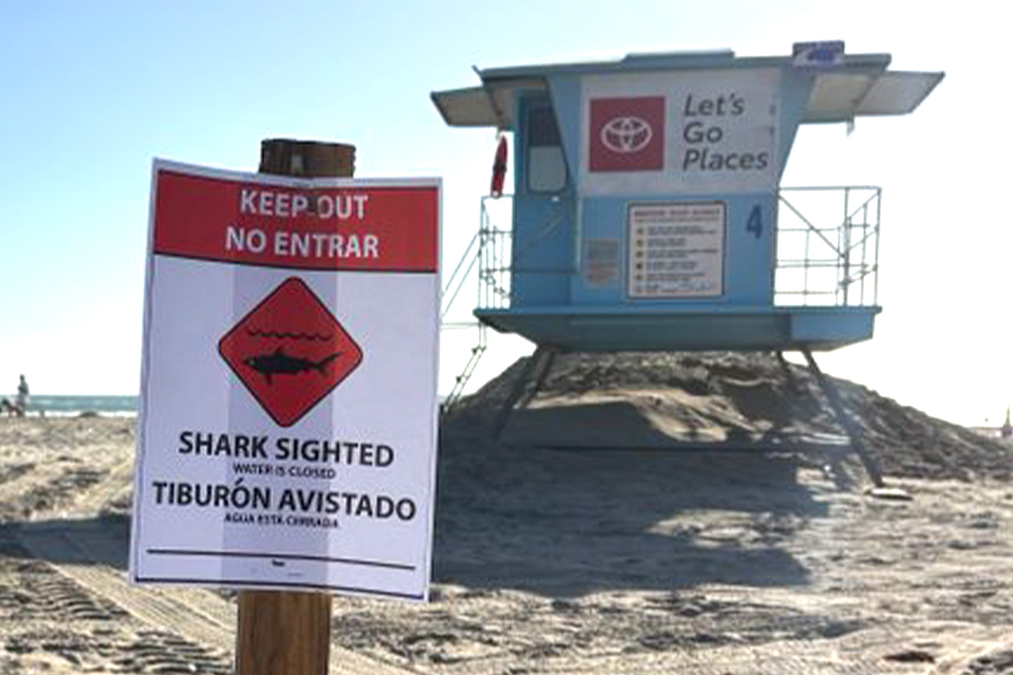 Aggressive great white shark forces sudden closure of SoCal beach