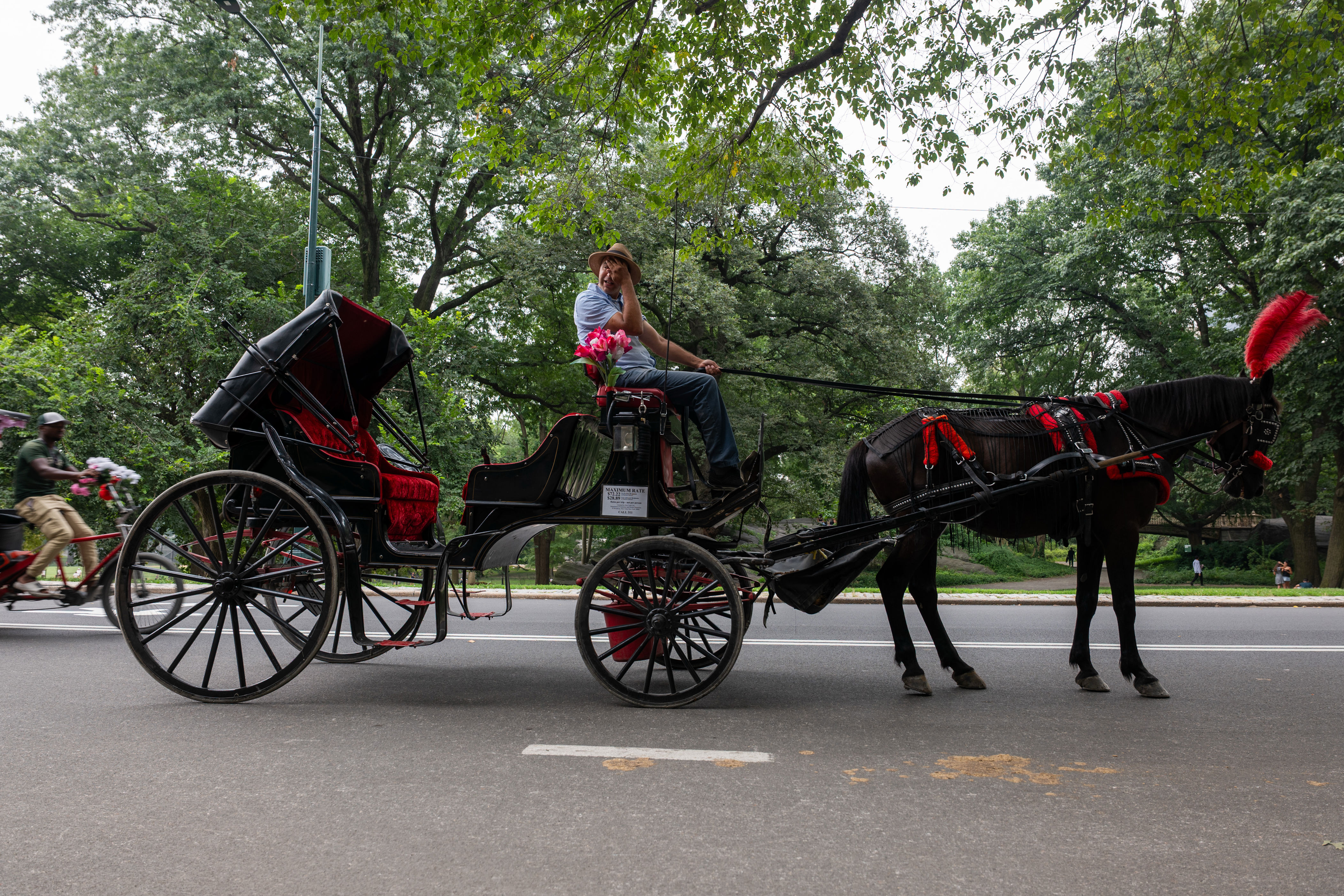 New York City is set to ban horse-drawn carriages