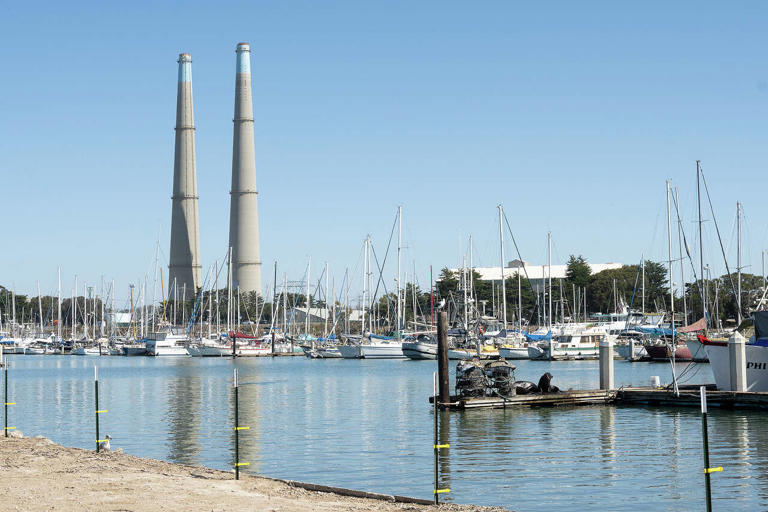 Hundreds of sea lions are taking over a major roadway in Moss Landing