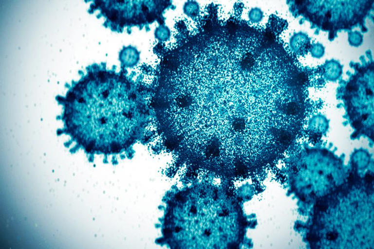 American Covid hospitalises thousands as pandemic era rule returns to ...
