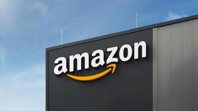 Amazon’s embroidered cat loafers combine comfort and cuteness with ...