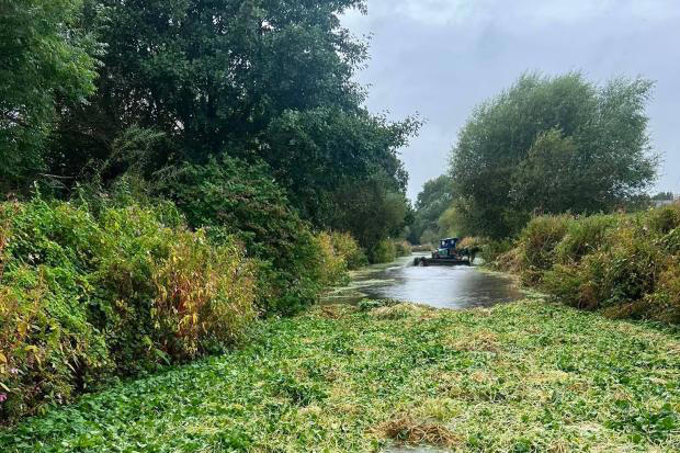 Extensive weed removal programme targets Leeds and Liverpool Canal