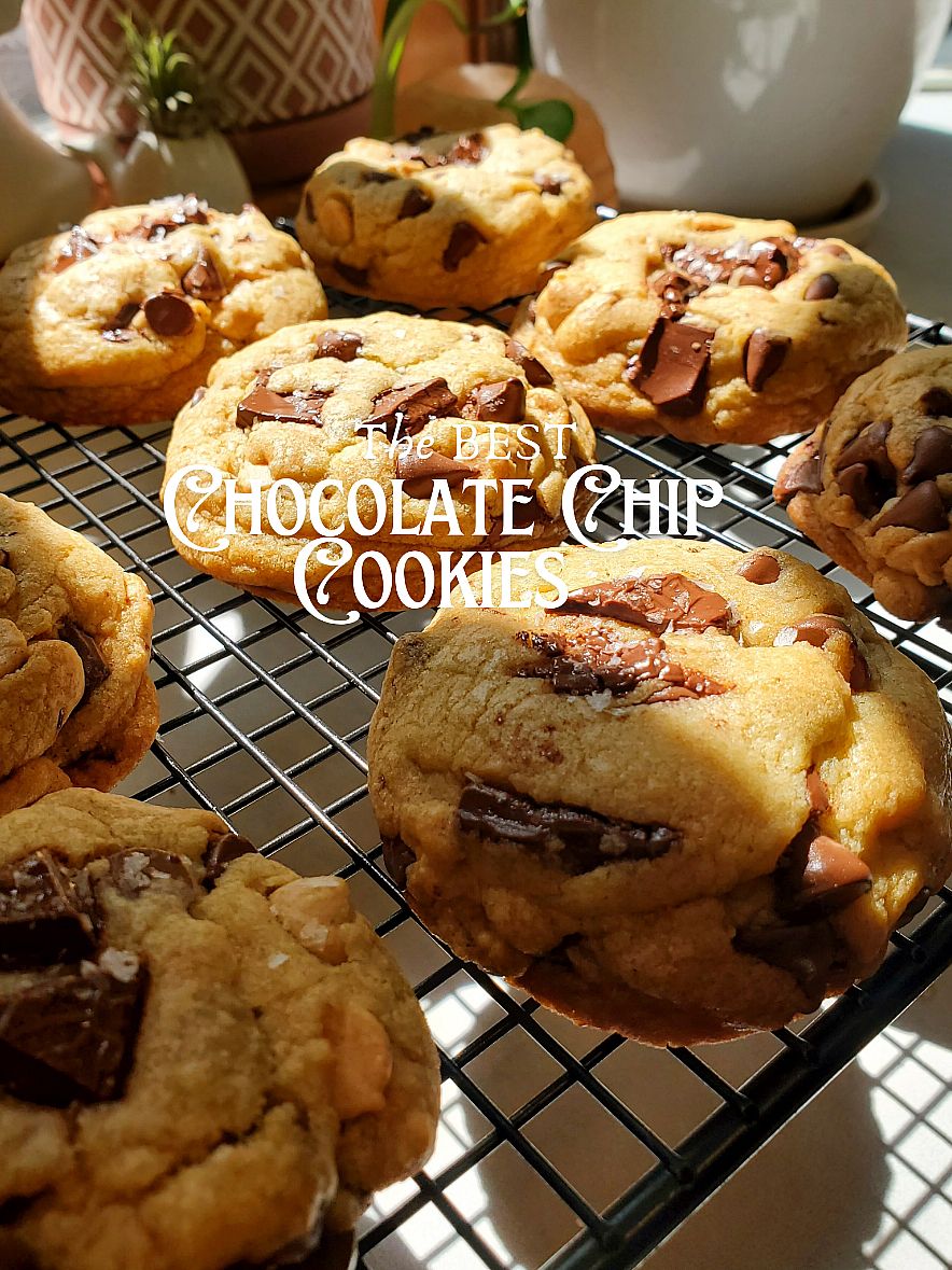 Freshly baked chocolate chip cookies that make any day better