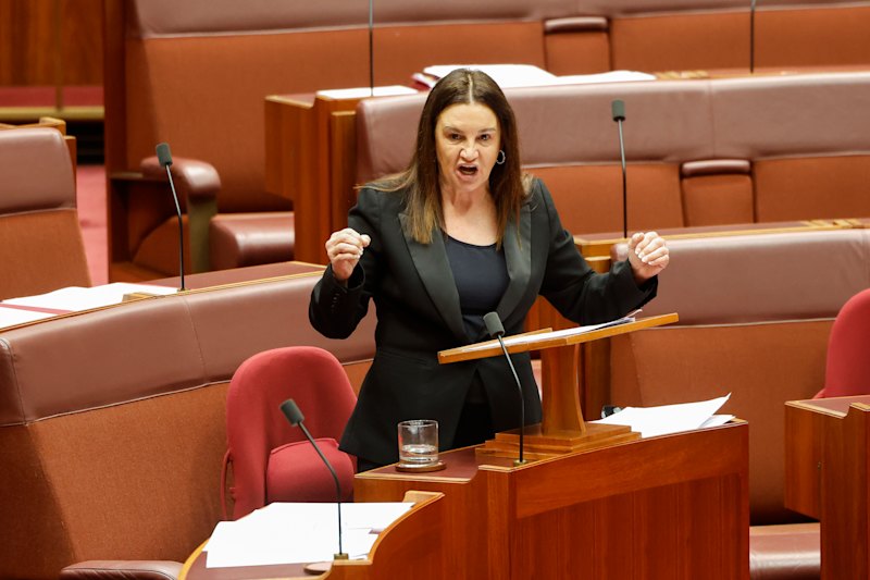 'I do apologise': Pauline Hanson's major U-turn on Jacqui Lambie cartoon