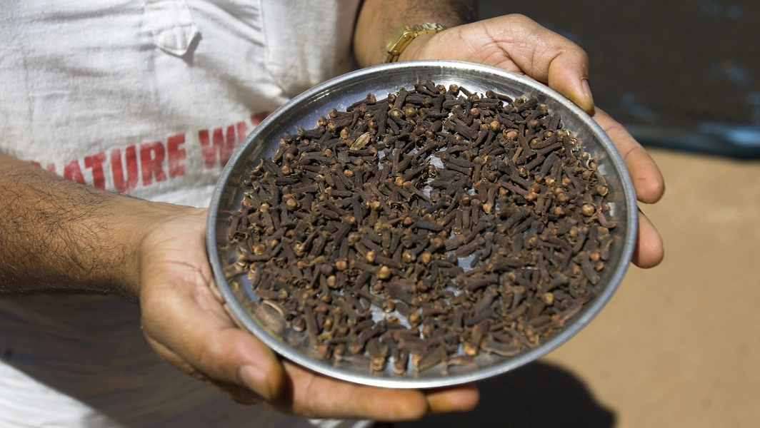 Mastering cloves for perfect flavor balance