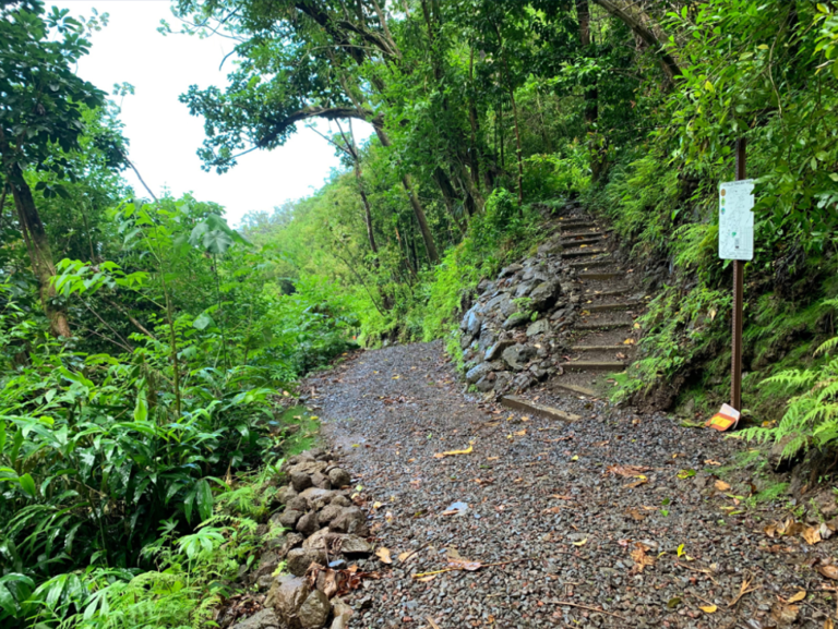 Injured hiker suffers head laceration, rescued from Mānoa Falls Trail