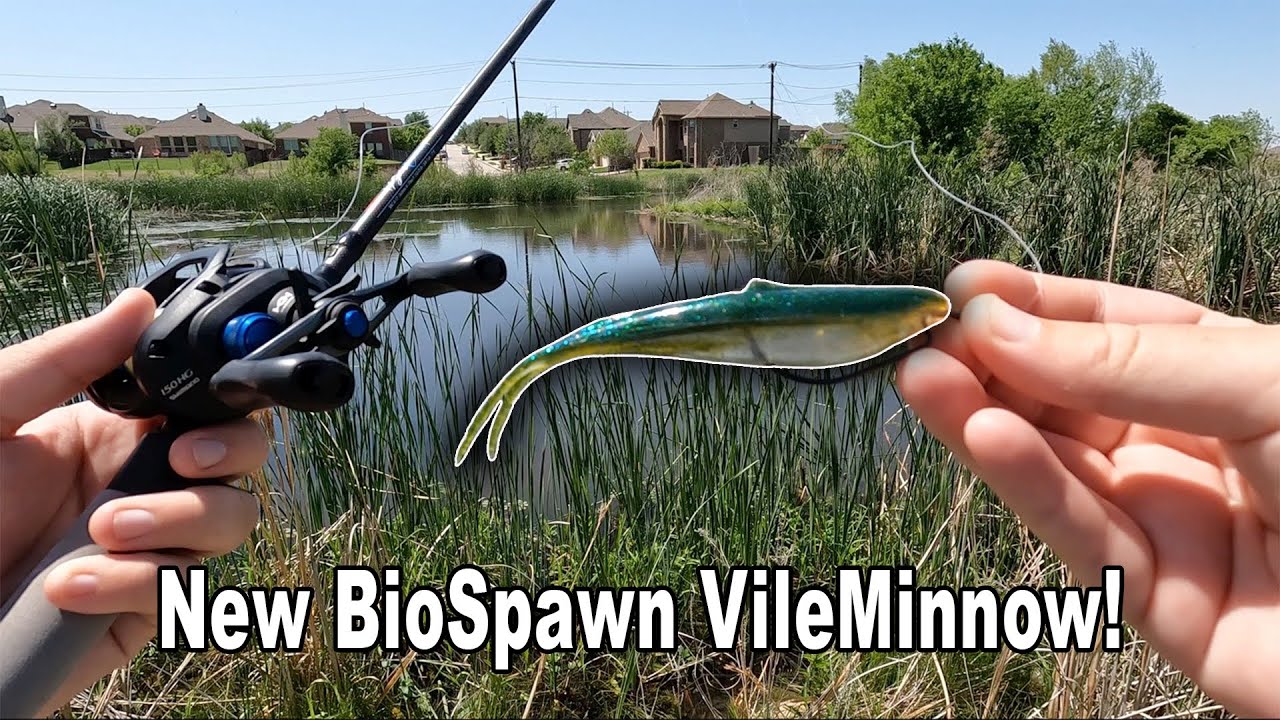 Bass fishing with the new BioSpawn VileMinnow