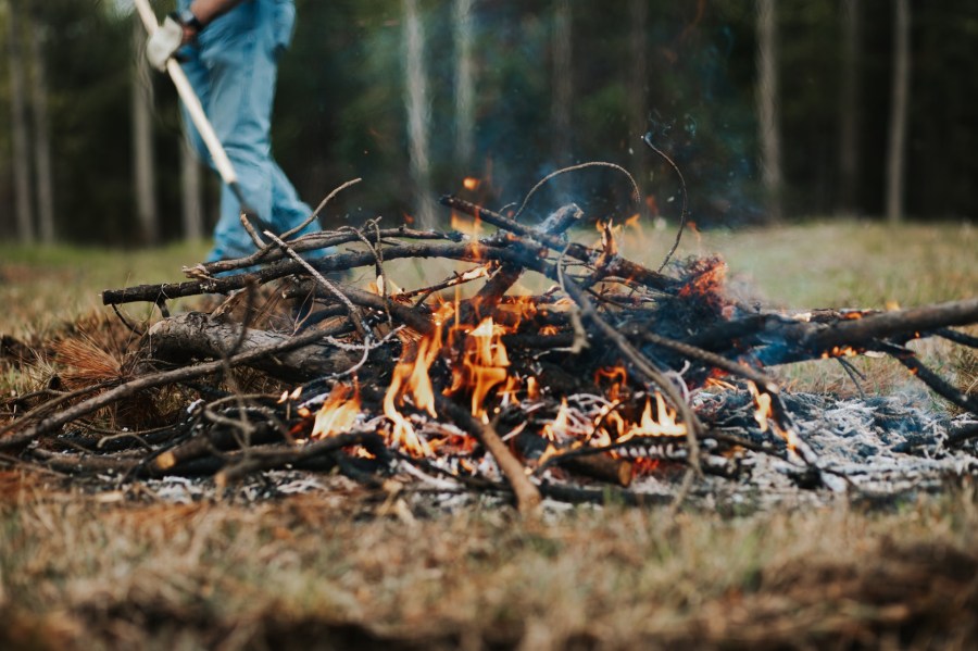 Tennesseans urged to apply for free burn permits as wildfire season begins