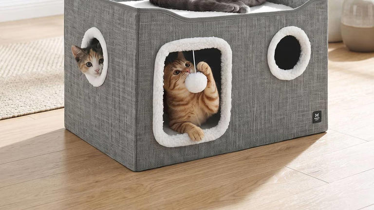 Sam's Club's collapsible $25 cat condo is a cozy, compact little space ...