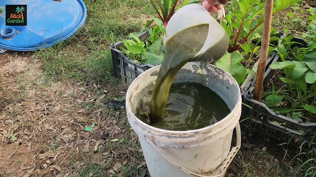 2 practical methods to improve poor garden soil