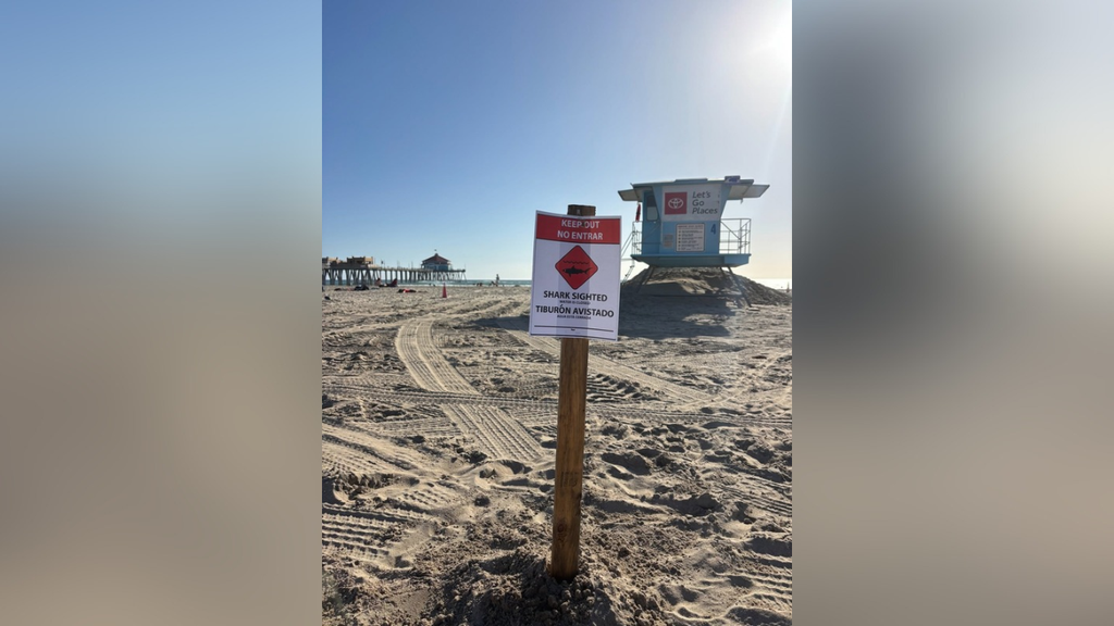 Aggressive great white shark prompts closure of Huntington Beach coastline