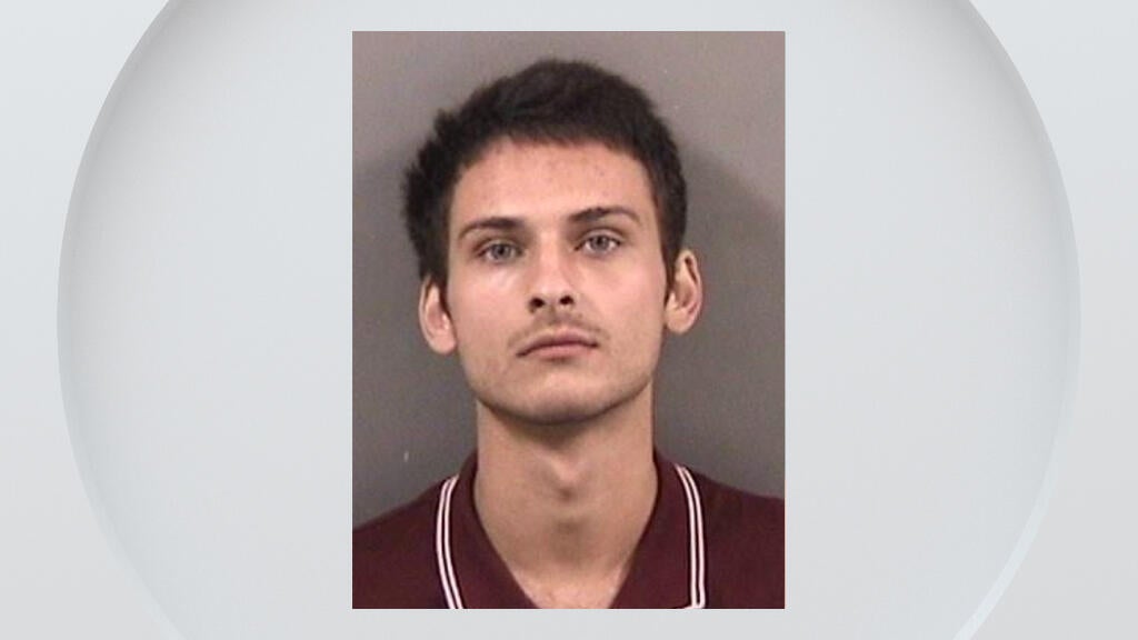 Suspect arrested in Berkeley hit-and-run that injured elderly tourists ...