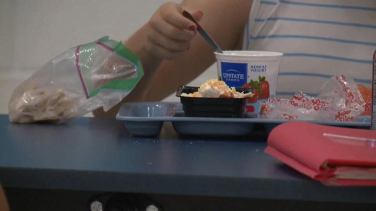 Virginia Beach school leaders defend handling of $350K student meal ...