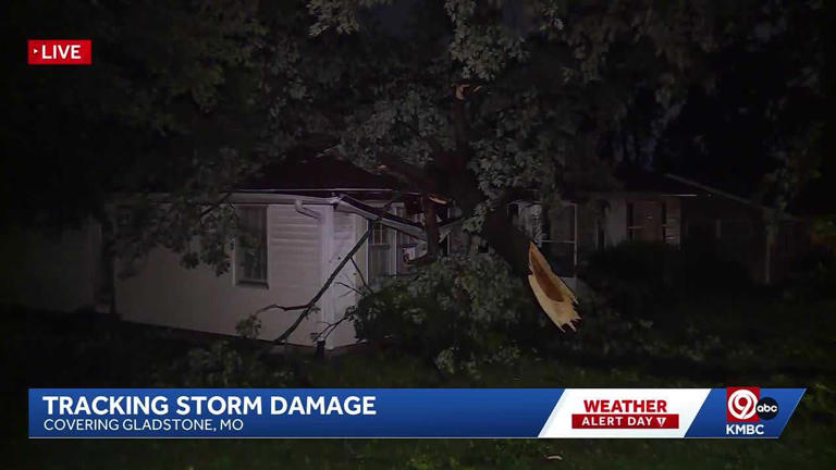 Severe storms leave behind downed trees, power lines across Kansas City ...