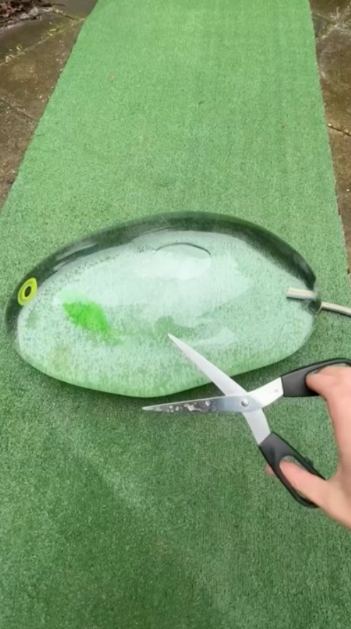 Slime fish flooded my garden and made a huge mess