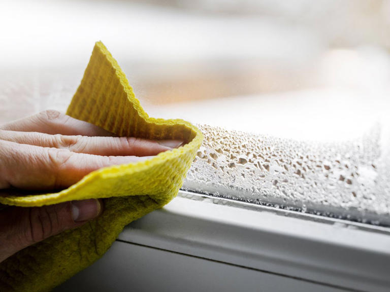 Condensation on windows disappears with easy method – but you should be ...