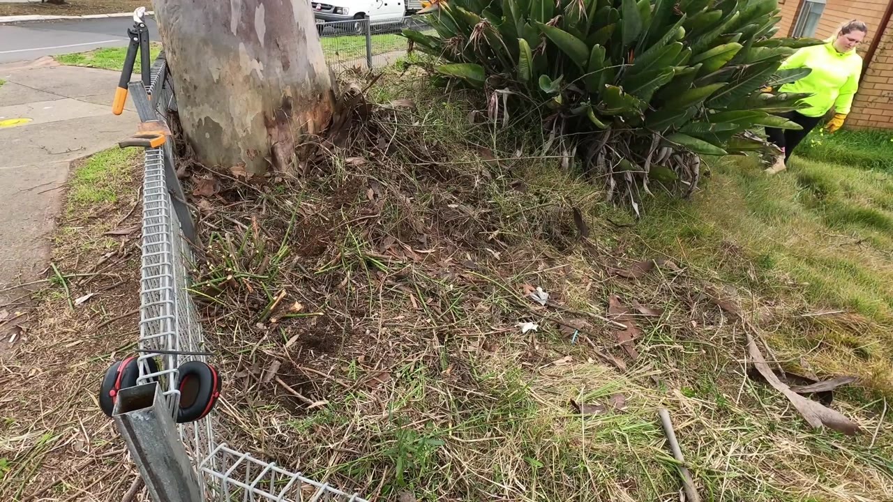Watch him cut through years of overgrowth then uncover the concrete ...