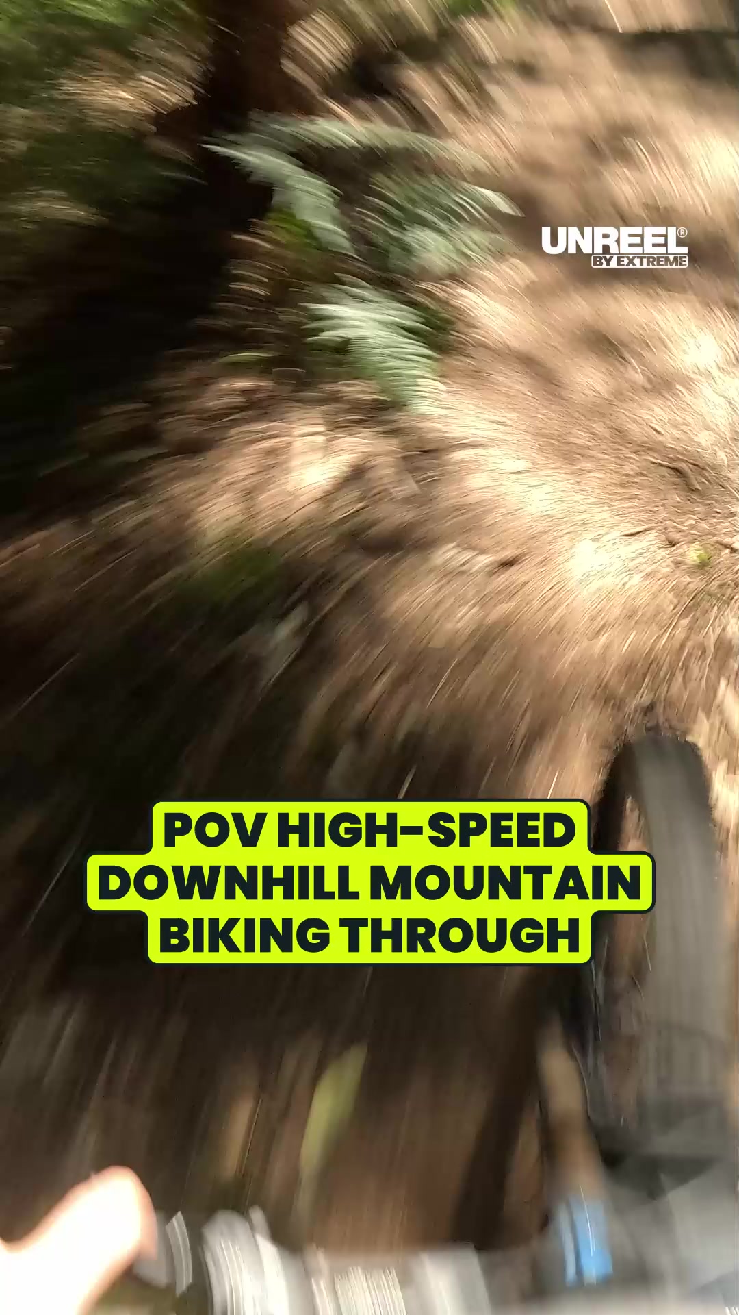 POV Action: High-Speed Downhill MTB Trail Ride & Wild Forest Crash!