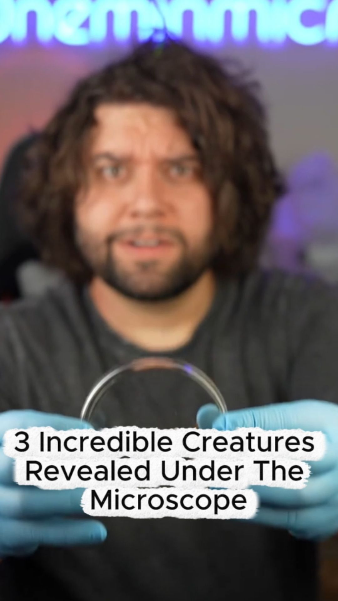 Three incredible creatures revealed under the microscope
