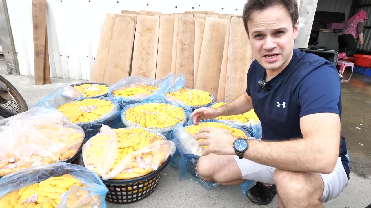 Watch how they harvest Taiwan's famous fish roe... the process starts ...